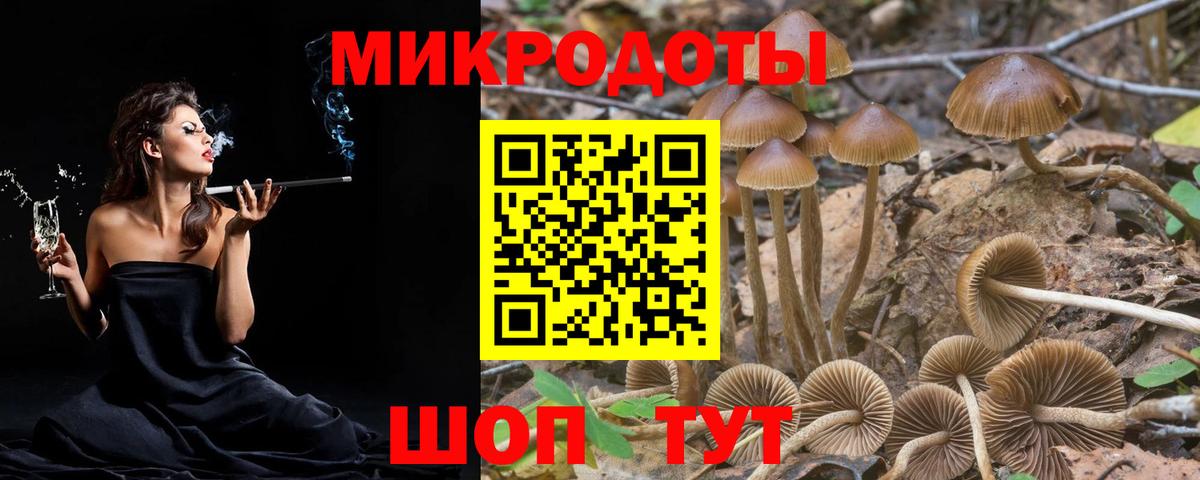 Галлюциногенные грибы MAGIC MUSHROOMS  где найти   Северск  Вход с VPN 