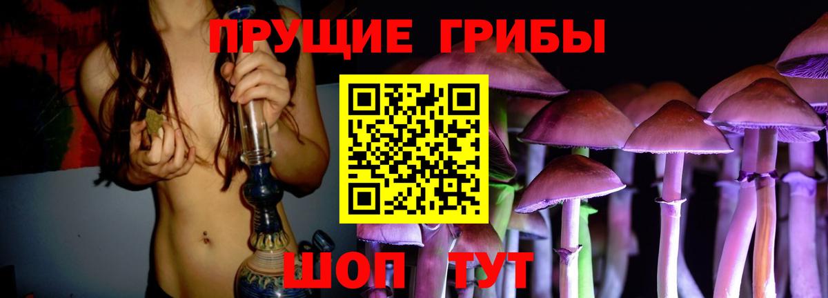 Псилоцибиновые грибы Cubensis Северск